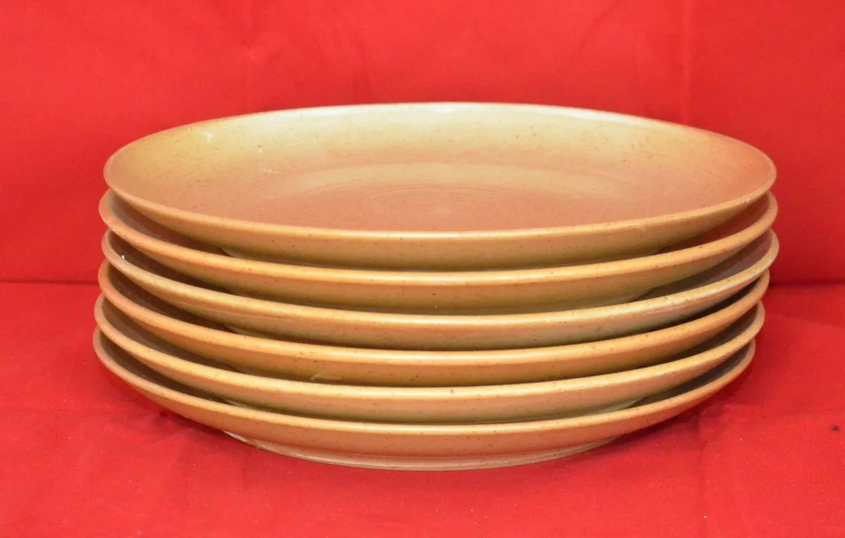 6 assiettes plates en grès Village CNP
