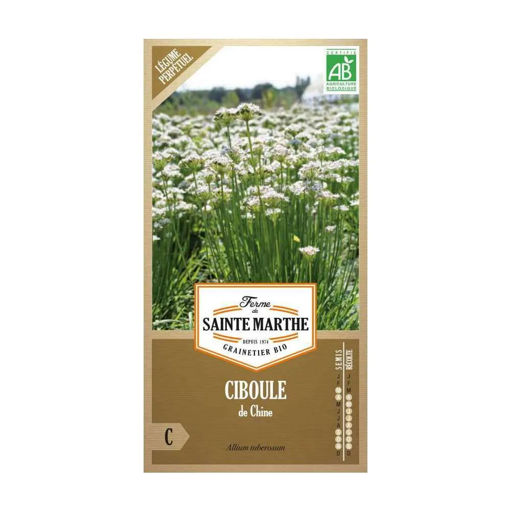 Ciboule de Chine - En sachet
