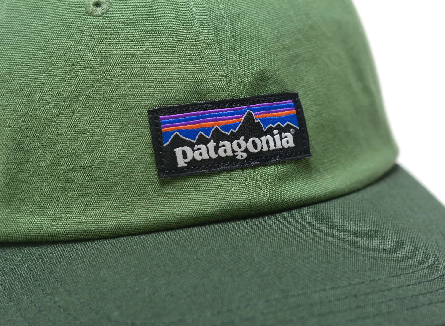 Patagonia P-6 Label Trad Cap Terrain Green